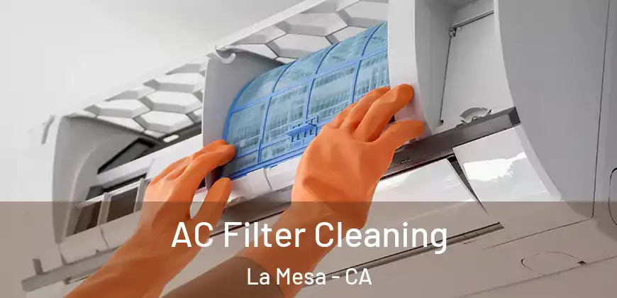 AC Filter Cleaning La Mesa - CA
