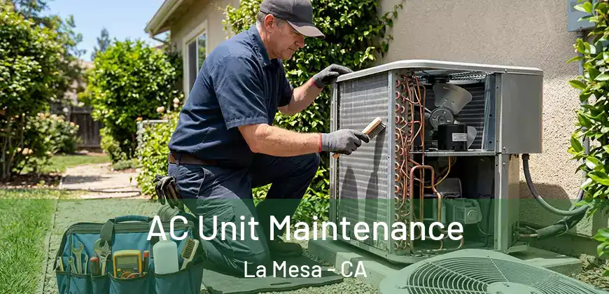 AC Unit Maintenance La Mesa - CA