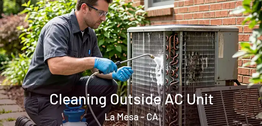  Cleaning Outside AC Unit La Mesa - CA